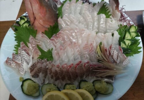 逃げ水あむ　福岡撮り下ろしランチェキ 東京オートサロン潜入してきました！ 撮りたてほやほやの新型